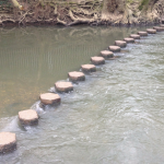 Stepping stones 